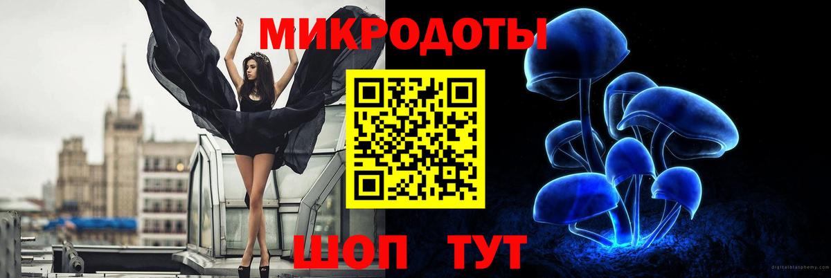 Заводоуковск  где найти наркотики  Вход с VPN  Псилоцибиновые грибы мицелий 