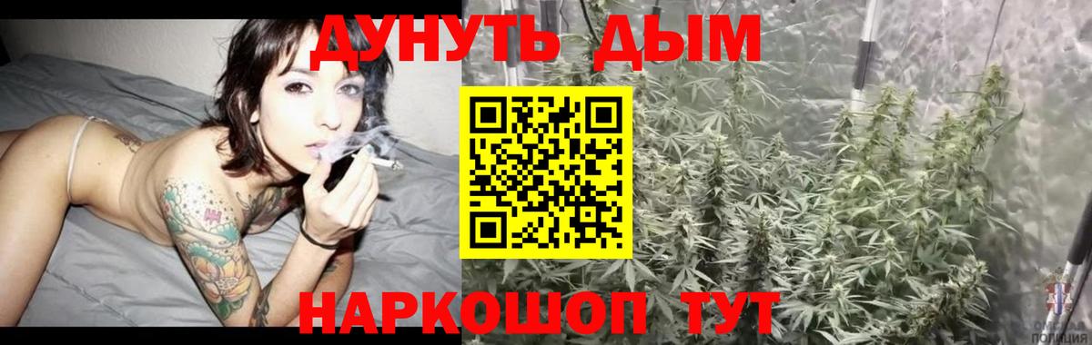 Каннабис план  Марихуана SATIVA & INDICA  Каннабис OG Kush  Заводоуковск  Вход с VPN  Конопля индика 